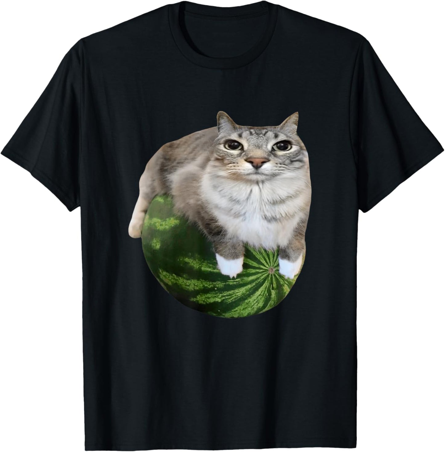 Watermelon Cat Silly Cat Meme