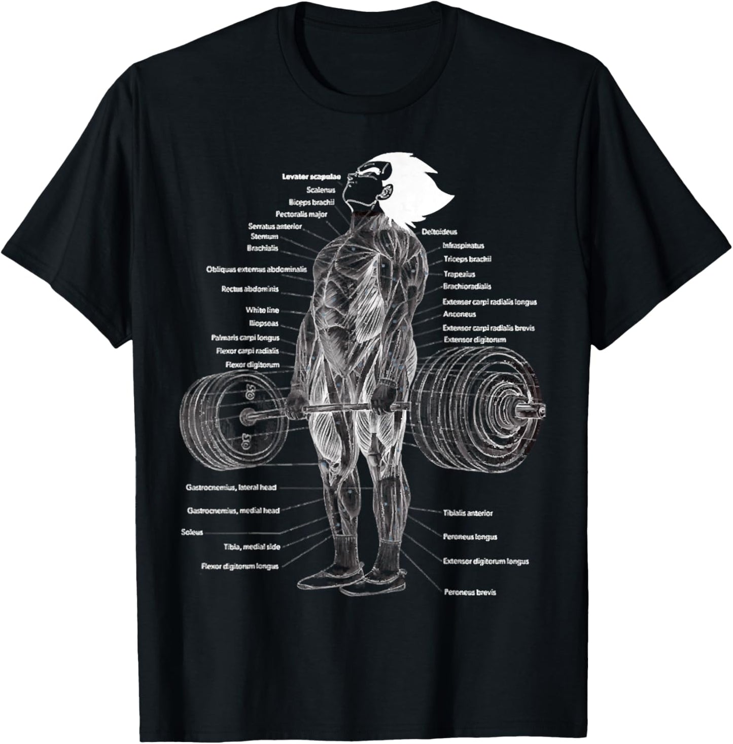 Anime Muscle Anatomy Chart Gym And Workout Motivation Outfit