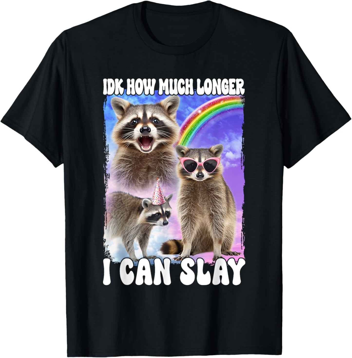 Idk How Much Longer I Can Slay Meme Raccoon Funny