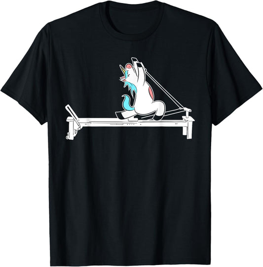 Pilates Unicorn Fitness Exercise Training Meditation
