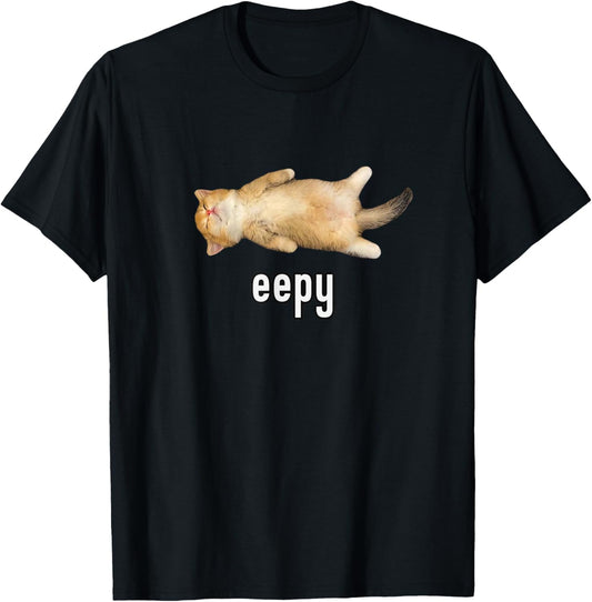 Eepy Cat, Silly Sleepy Cat Meme
