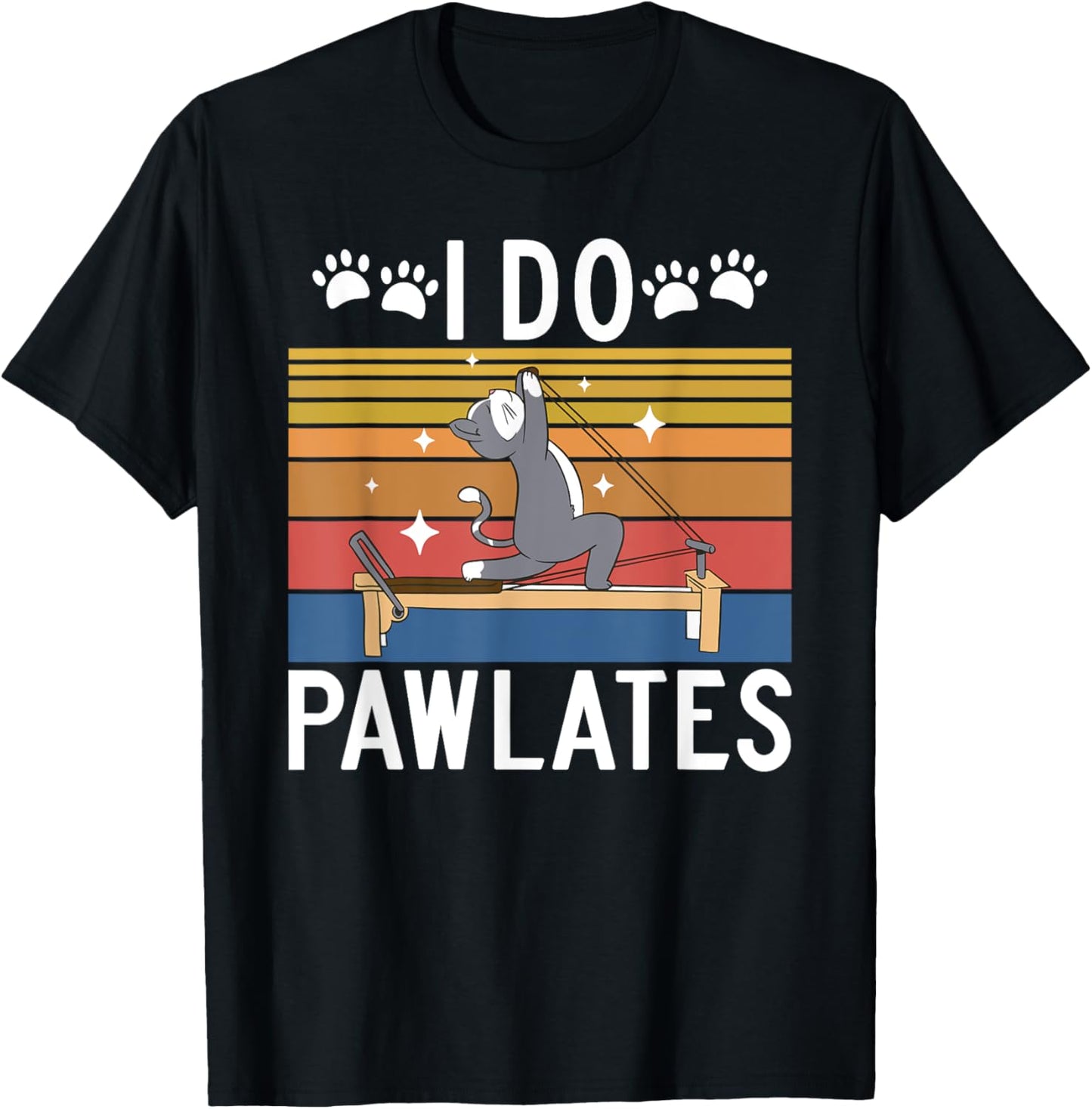 Pilates Gifts I Do Pawlates Cat Pilates Yoga T Shirt Black Small Crew Neck Short Sleeve Women Pilates Enthusiasts