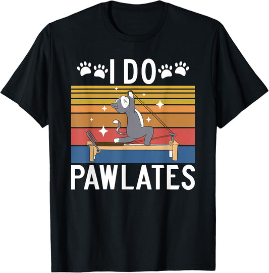Pilates Gifts I Do Pawlates Cat Pilates Yoga T Shirt Black Small Crew Neck Short Sleeve Women Pilates Enthusiasts