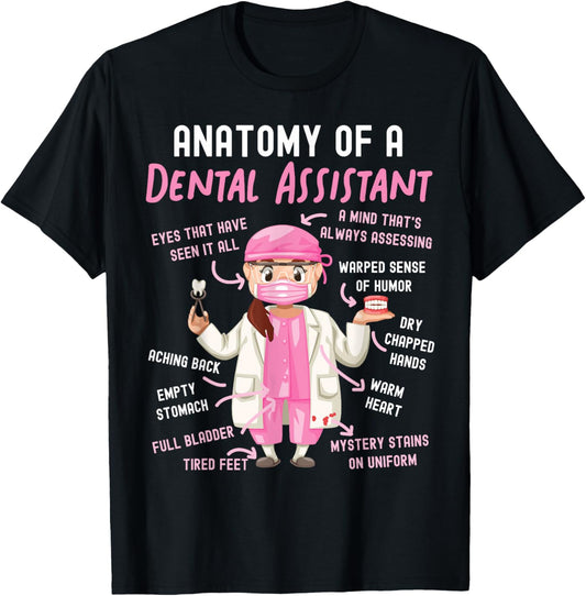 Dental Assistant Anatomy