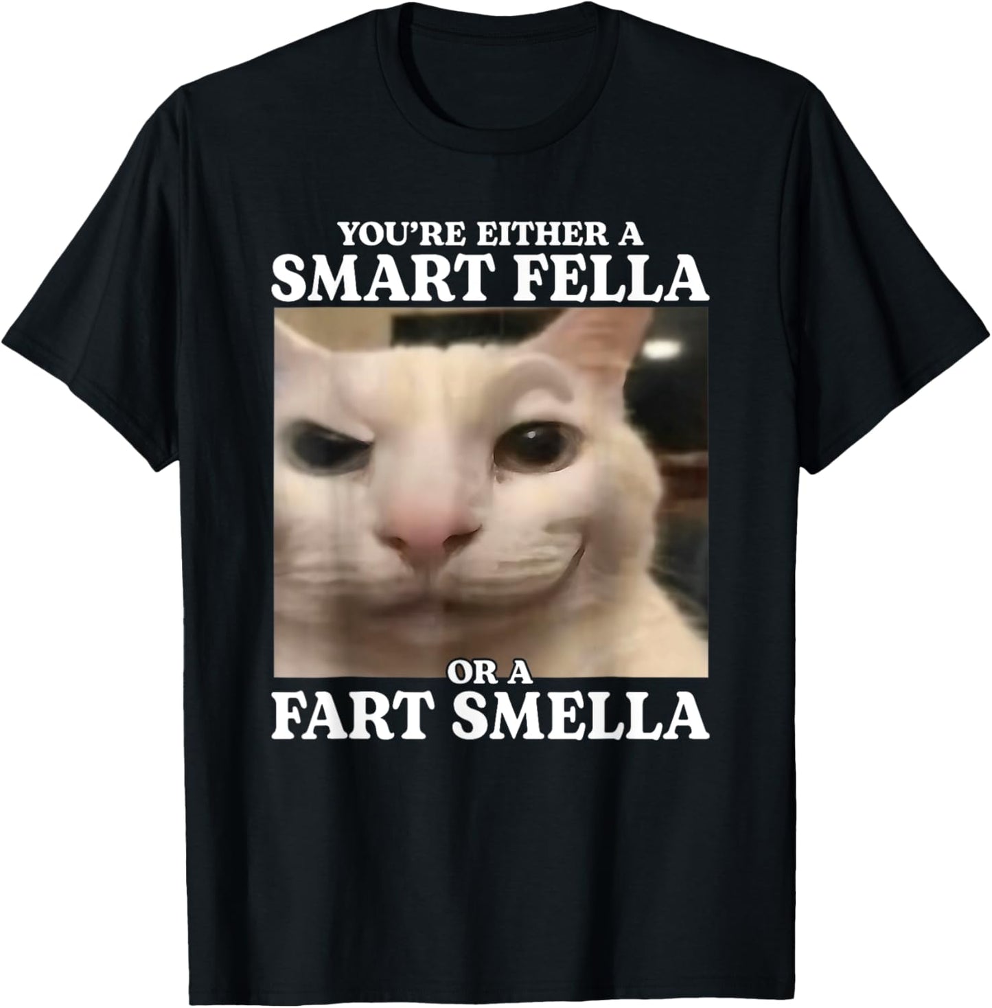 You're Either a Smart Fella or a Fart Smella Funny Cat Meme