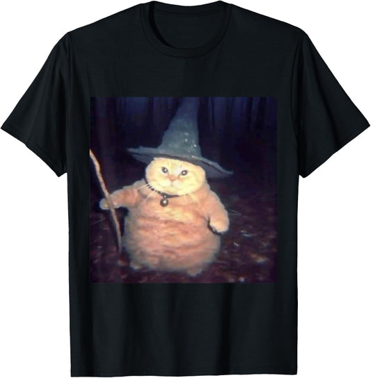 Wizard Cat Weird Funny Halloween Cat Meme