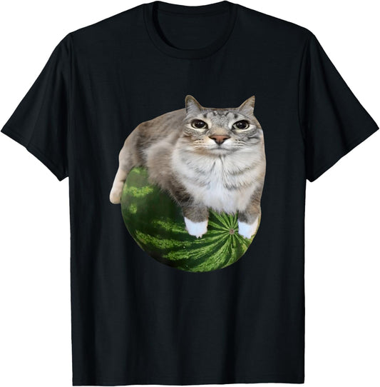 Watermelon Cat Silly Cat Meme