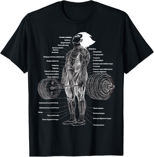 Anime Muscle Anatomy Chart Gym And Workout Motivation Outfit