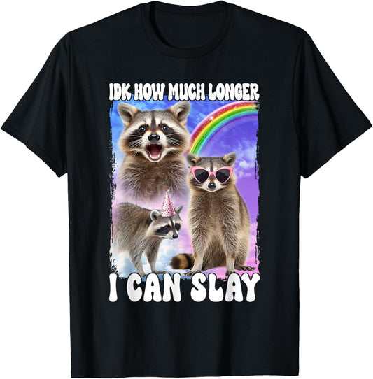 Idk How Much Longer I Can Slay Meme Raccoon Funny